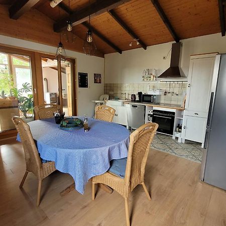Ruheidylle Weitblick Apartment Kleinich Luaran gambar