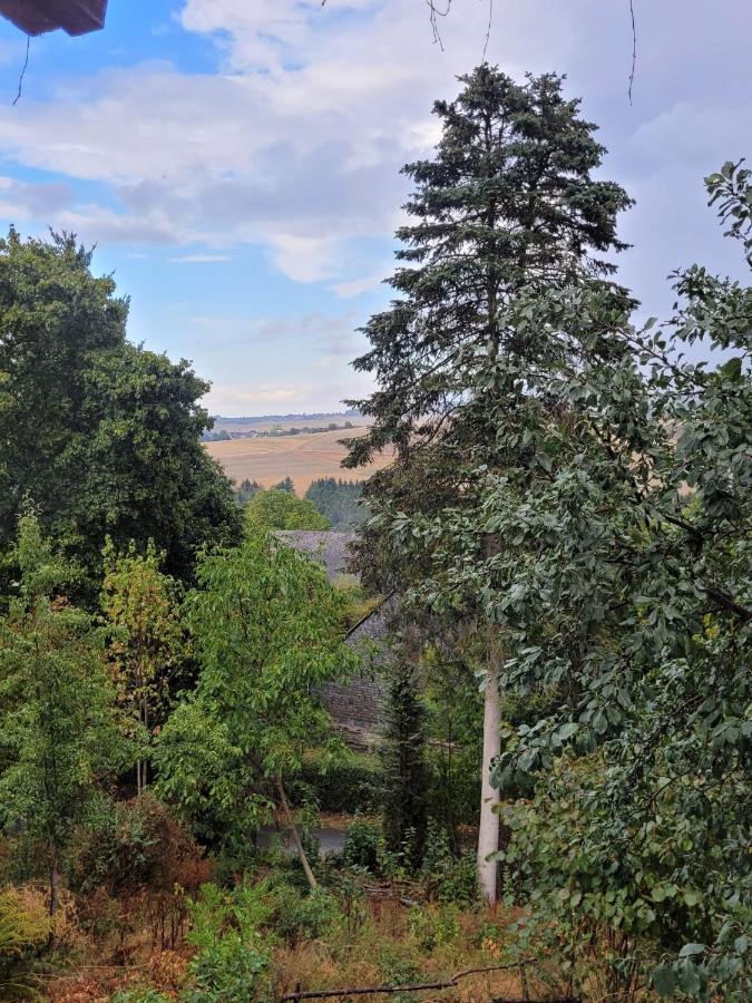 Ruheidylle Weitblick Apartment Kleinich Luaran gambar